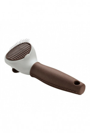 Atpainiojantis šepetys...