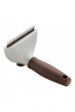 Atpainiojantis šepetys...