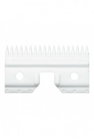 Skutimosi peiliuko ašmenys...