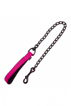 Šuns pavadėlis Gloria...