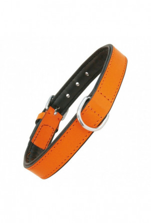 Šuns antkaklis Gloria...