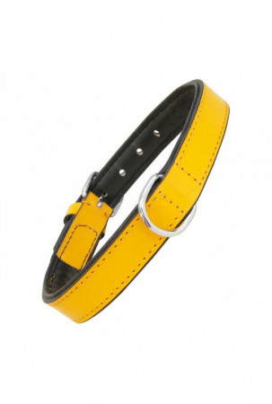 Šuns antkaklis Gloria...