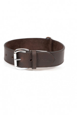 Šuns antkaklis Gloria Ruda...