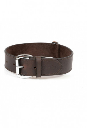 Šuns antkaklis Gloria Ruda...