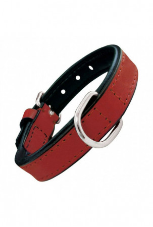 Šuns antkaklis Gloria...