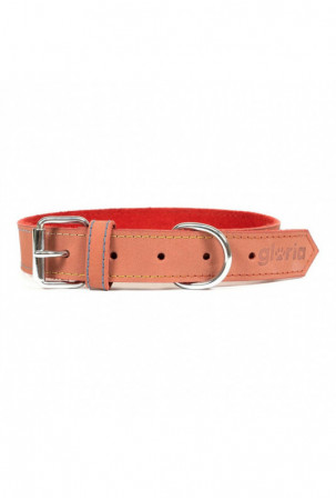 Šuns antkaklis Gloria Oasis...