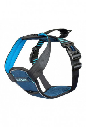 Šuns pakinktai Company of...