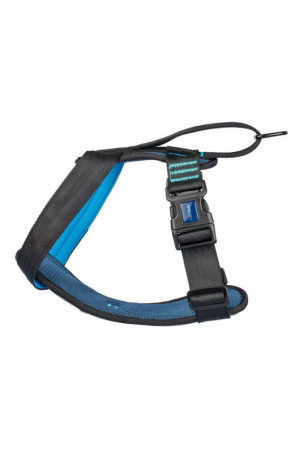 Šuns pakinktai Company of...