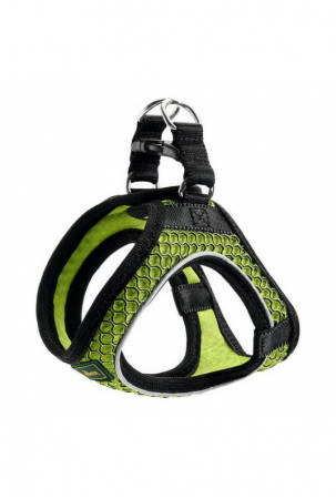 Šuns pakinktai Hunter...