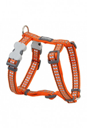 Šuns pakinktai Red Dingo...