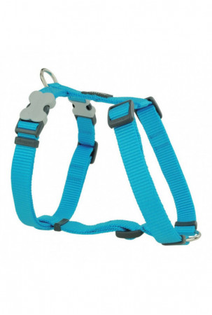 Šuns pakinktai Red Dingo...