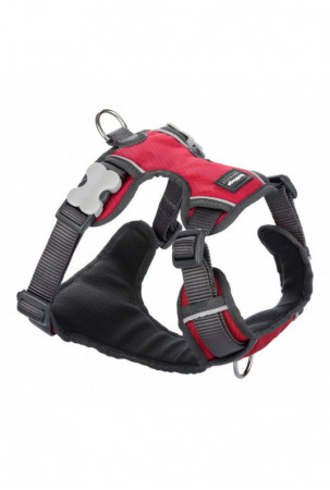 Šuns pakinktai Red Dingo...