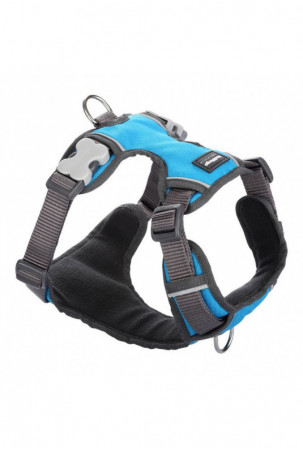 Šuns pakinktai Red Dingo...