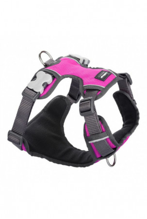 Šuns pakinktai Red Dingo...