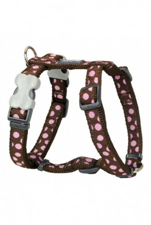 Šuns pakinktai Red Dingo...