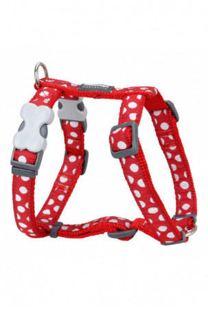 Šuns pakinktai Red Dingo...