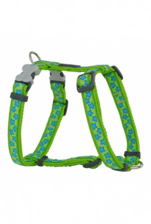 Šuns pakinktai Red Dingo...