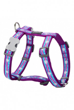 Šuns pakinktai Red Dingo...