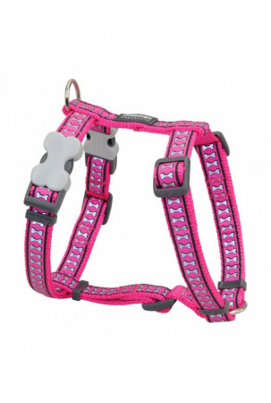 Šuns pakinktai Red Dingo...