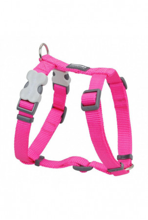 Šuns pakinktai Red Dingo...