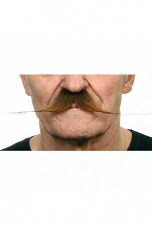 Ūsai My Other Me Ruda