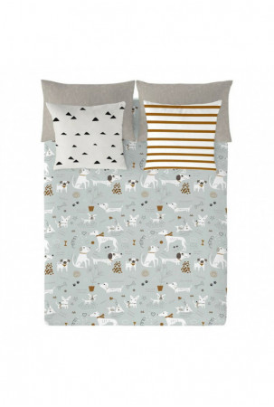 Šiaurės šalių viršelis...