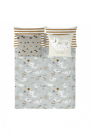 Šiaurės šalių viršelis...