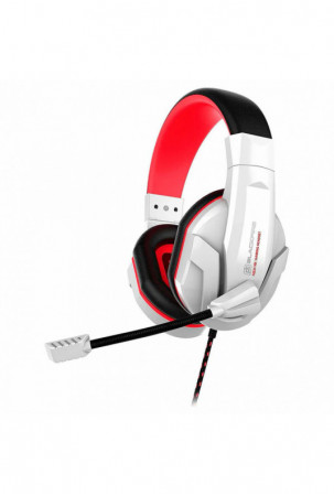 Ausinės su mikrofonu...