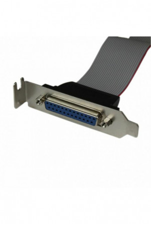 Adapteris Startech...