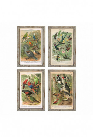 Paveikslas DKD Home Decor...