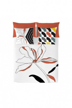 Šiaurės šalių viršelis...