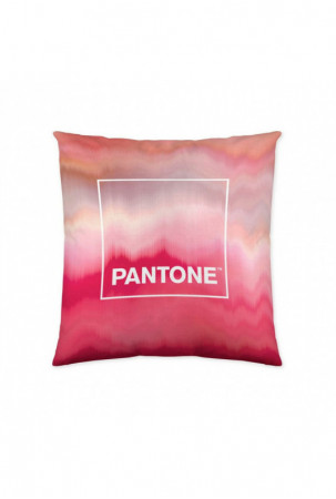 Pagalvėlės užvalkalas...