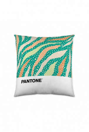 Pagalvėlės užvalkalas...