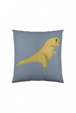 Pagalvėlės užvalkalas Cool...