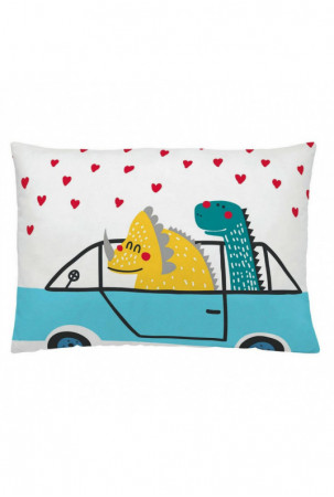 Pagalvėlės užvalkalas...