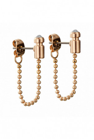 Moteriški auskarai DKNY...