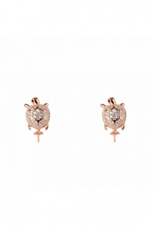 Moteriški auskarai...