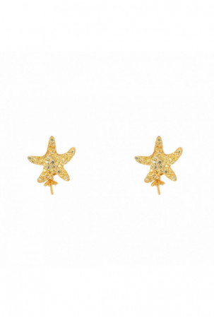 Moteriški auskarai...