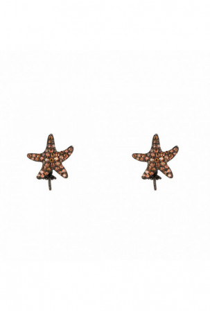 Moteriški auskarai...