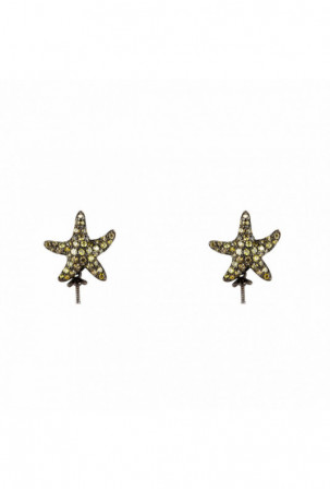 Moteriški auskarai...