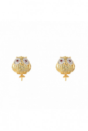 Moteriški auskarai...