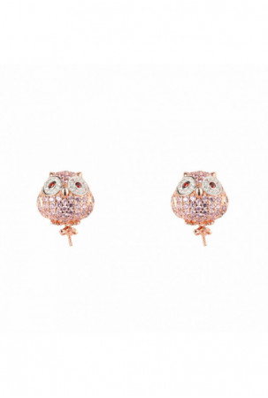 Moteriški auskarai...