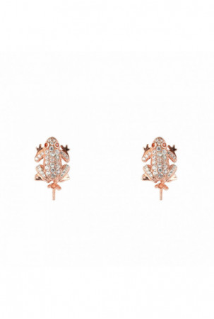 Moteriški auskarai...