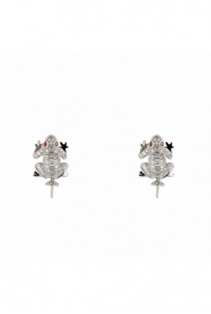 Moteriški auskarai...