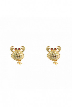 Moteriški auskarai...