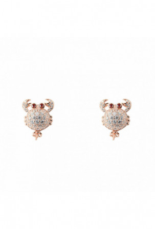 Moteriški auskarai...