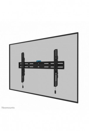TV laikiklis Neomounts...