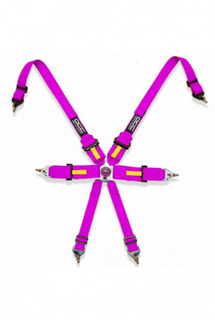 Diržas su 6 tvirtinimo...