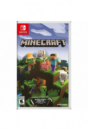 Switch vaizdo žaidimas...