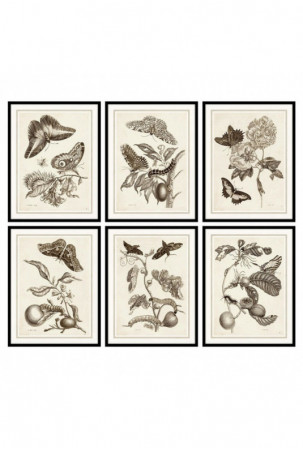 Paveikslas DKD Home Decor...